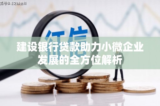 上街建设银行贷款助力小微企业发展的全方位解析