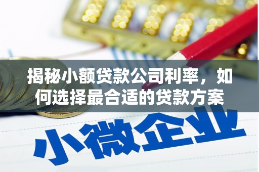 上街揭秘小额贷款公司利率，如何选择最合适的贷款方案