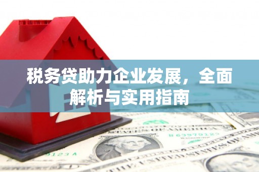 上街税务贷助力企业发展，全面解析与实用指南
