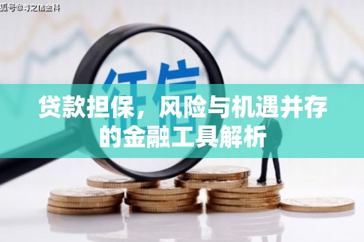上街贷款担保，风险与机遇并存的金融工具解析